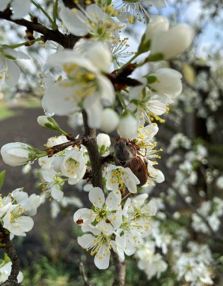 hairy teen onlyfans free nude img