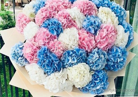 tykitabigbooty nice pornstar photos