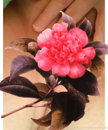 amateur onlyfans perfect pictures