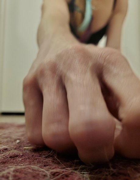 gtssyren free star archive