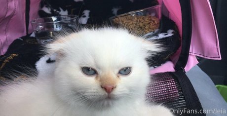 mature asian onlyfans free nude picture