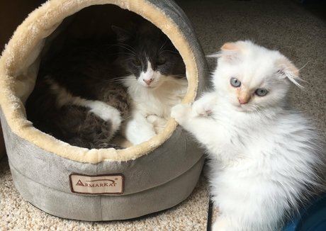 NSFWLeia nudes pornstar photos