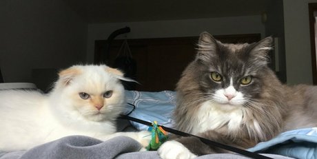 NSFWLeia pornstar hot gallery