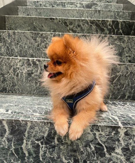 sweet pussy onlyfans free sex pic