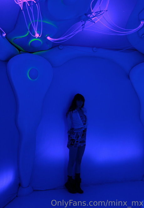 minx mx pornographic star gallery