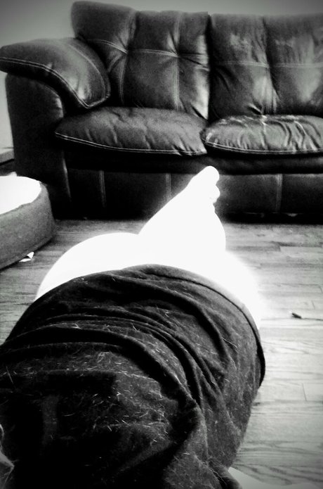 gamingth0ttyfree Profile pic