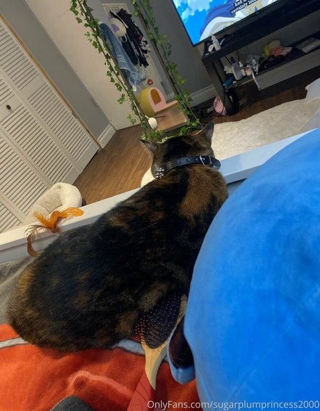 black blowjob onlyfans best photo