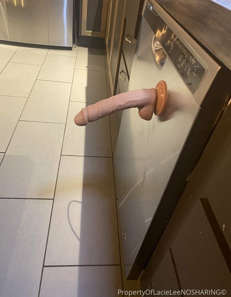 Jackontherocks star high quality galleries