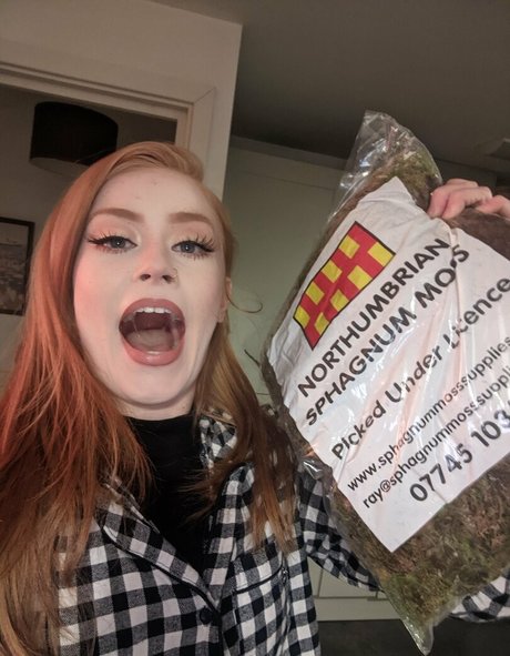 lunarouxfree star porn img