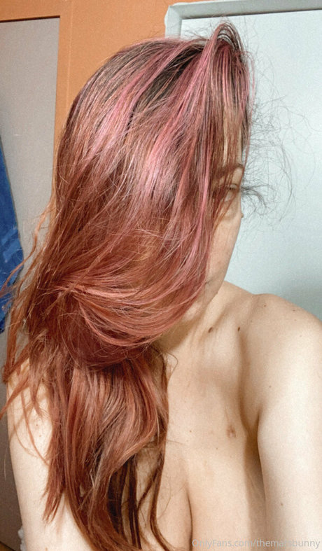 themarsbunny model top picture