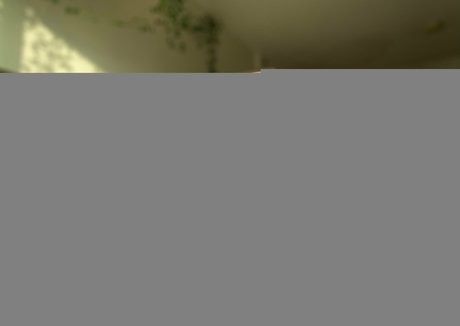 scandal onlyfans beautiful photos