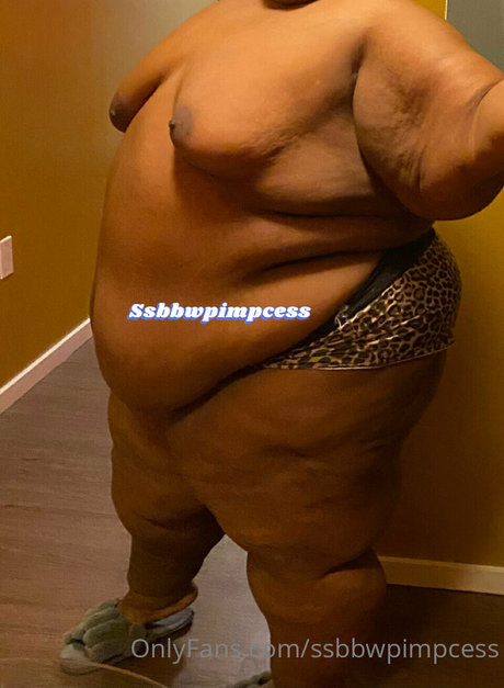 ssbbwpimpcess pornographic star galleries