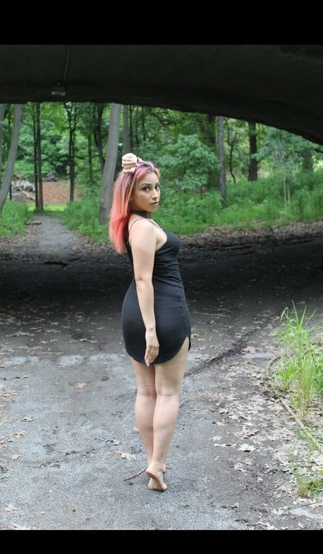 Serving Gaia top star gallery