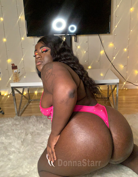 donnastarr star best archive