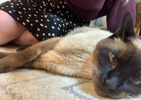 freebunbun xxx model pics