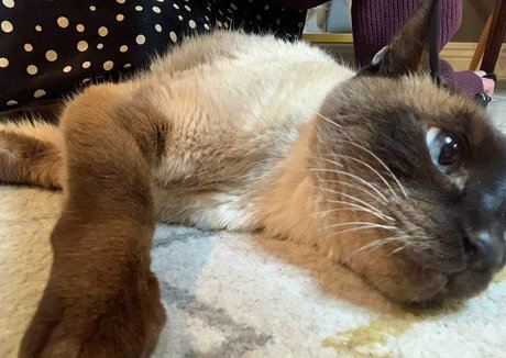 gay onlyfans hot xxx photo