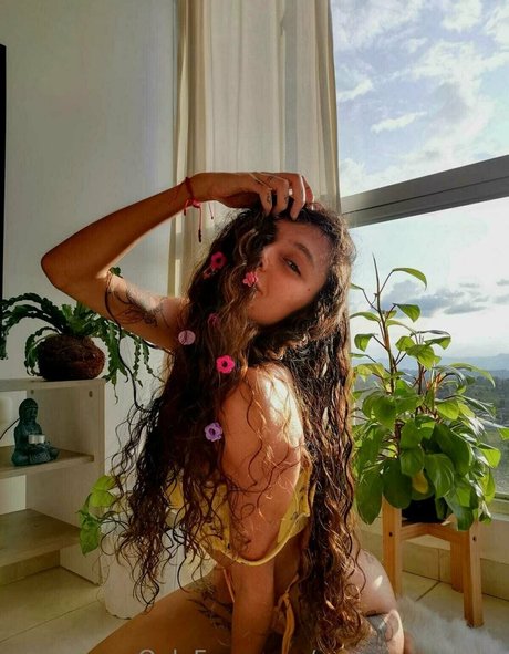 morgana bluee star pretty gallery