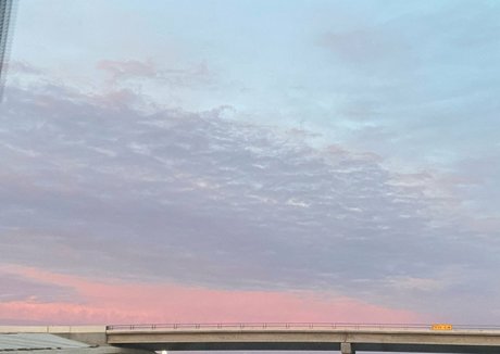 stellarstella top star pic