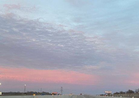 stellarstella exclusive star gallery