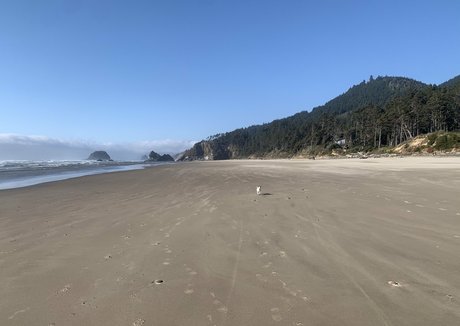 auroraarose xo model sex img