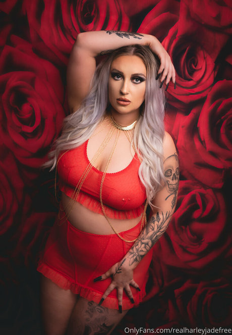 scene onlyfans beautiful galleries