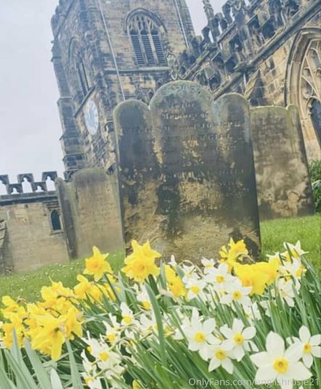 englishrosie21 sexy pornstar pictures