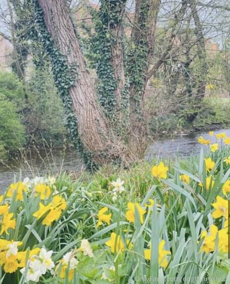 englishrosie21 free actress pictures