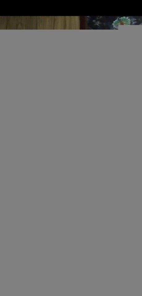 curvycamilafree porn model pic