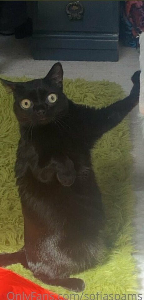 Sofia Porzio pornstar beautiful photos