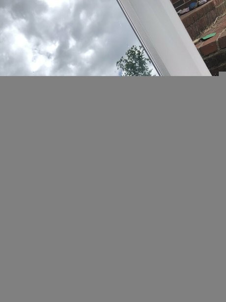 wickedwildrose adult model images