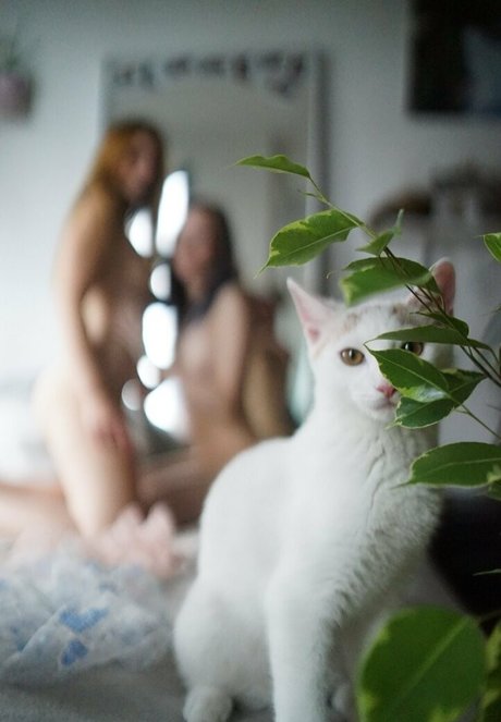 miamoar pornstar nice picture