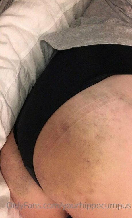 yourhippocumpus pornstar erotic gallery