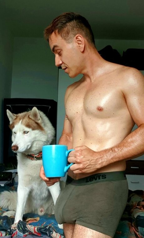 abel sigma model pretty img