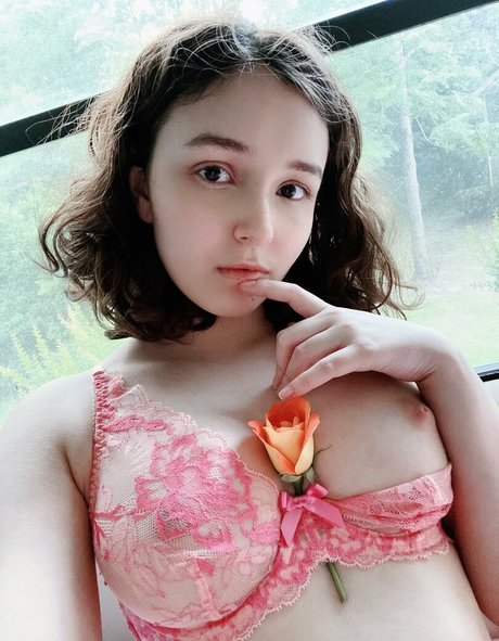 premium vip onlyfans hd galleries