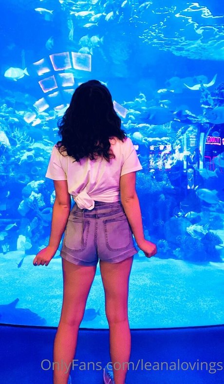 leanalovings star nice archive