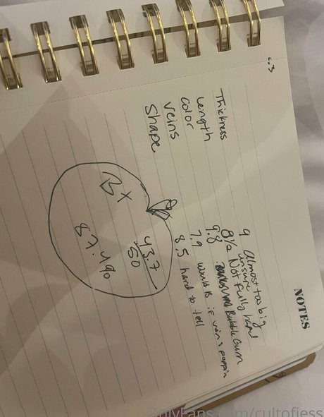 cultofjess pornstar art galleries