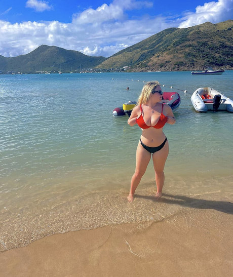 Harley Steins Profile pic