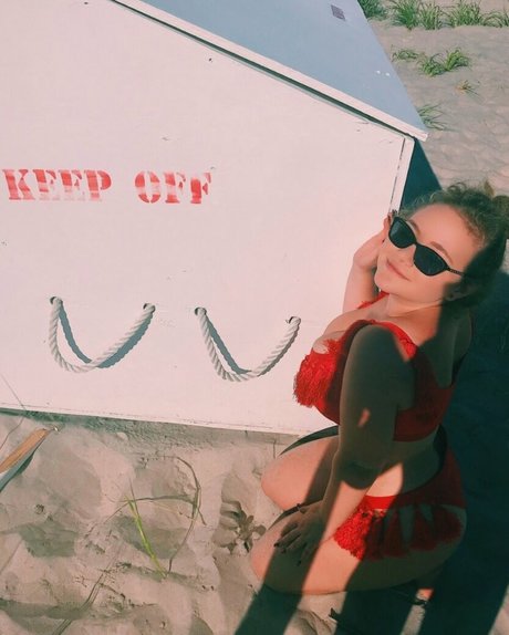 Harley Steins star hd picture