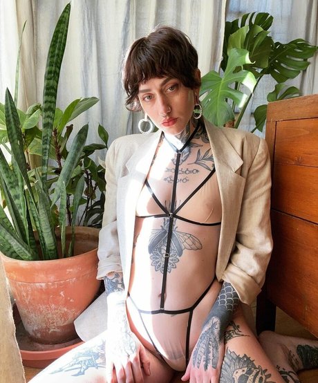 Deadnettle top model pictures