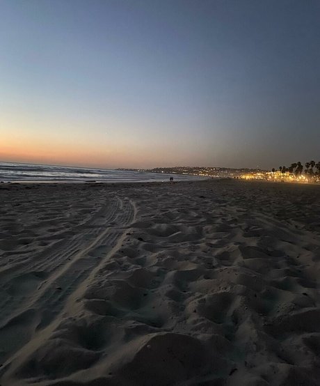 drearoseee pornstar image