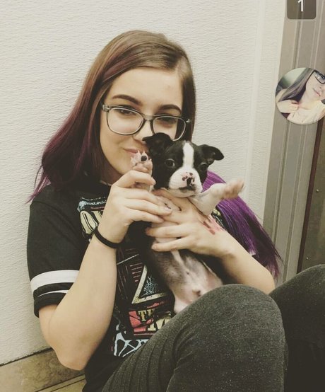 drearoseee Profile pic