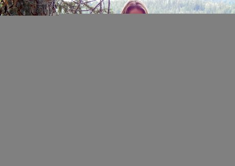 Sierra Dawnagcouple star sex pic