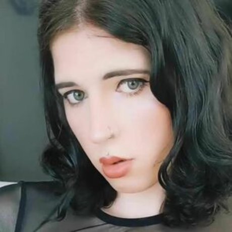 Unshaven nude pornstar galleries