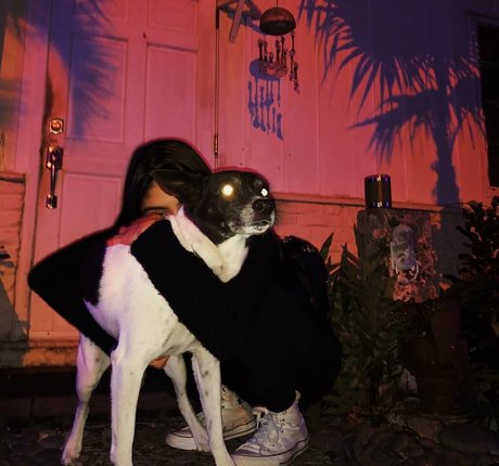 Antoenella free star pic