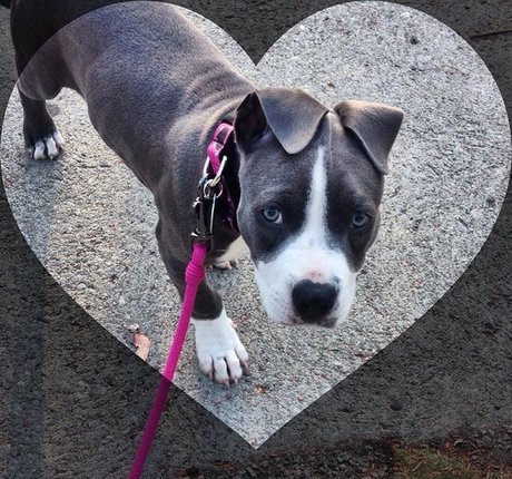 naked trans onlyfans best img