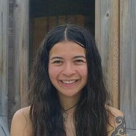 Nic Roams Van Life high quality model archive