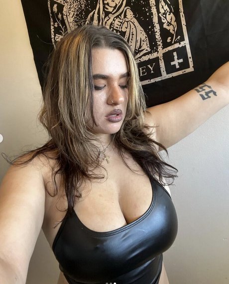 deesooze nice star archive