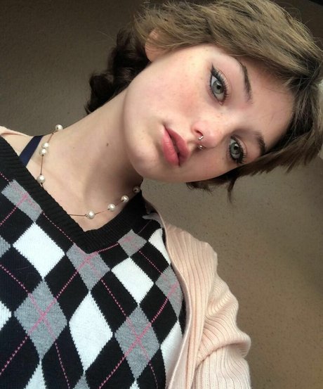 shrooms q star high quality img