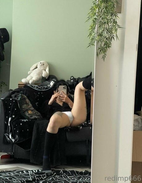 Redimp666 Quick model image