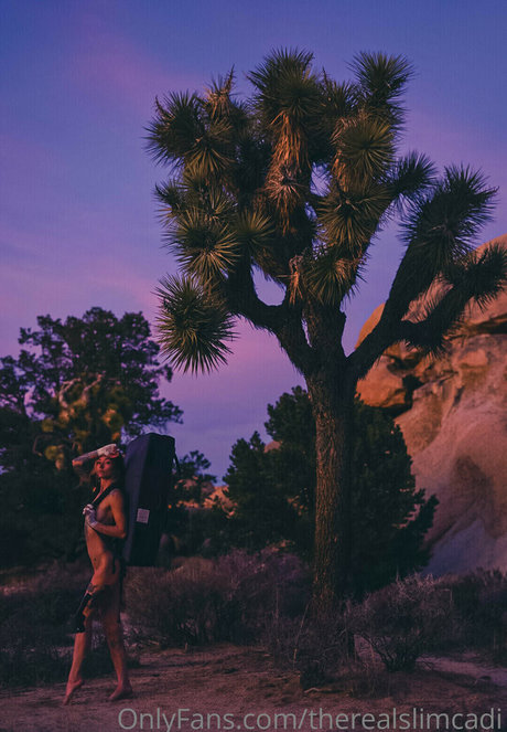 therealslimcadi pretty pornstar img